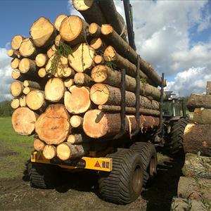 14 Ton - Forestry Trailer