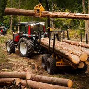 12 Ton 4WD - Forestry Trailer