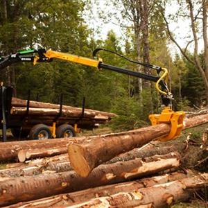 10 Ton - Forestry Trailer