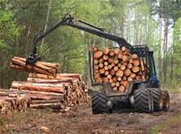 Commercial Woodland Development